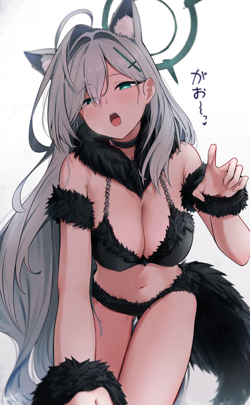 :o absurdres ahoge alternate_costume aqua_eyes bikini black_bikini black_choker blue_archive bracelet breasts caffeinechara choker claw_pose cleavage cross_hair_ornament female fur-trimmed_bikini fur_armlet fur_bracelet fur_trim gao grey_hair hair_ornament halo highres jewelry large_breasts long_hair looking_at_viewer mismatched_pupils navel shiroko_(blue_archive) shiroko_terror_(blue_archive) simple_background solo stomach swimsuit tail very_long_hair white_background