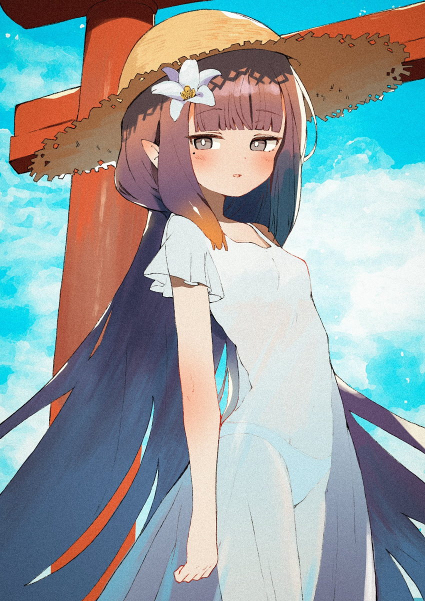 arms_at_sides blue_sky blunt_bangs blush breasts cloud cloudy_sky dress flower hair_flower hair_ornament hat highres hololive hololive_english long_hair looking_at_viewer lumina_(1umin4) mole mole_under_eye ninomae_ina'nis open_mouth panties pointy_ears see-through_clothes sky small_breasts sun_hat torii underwear very_long_hair white_dress