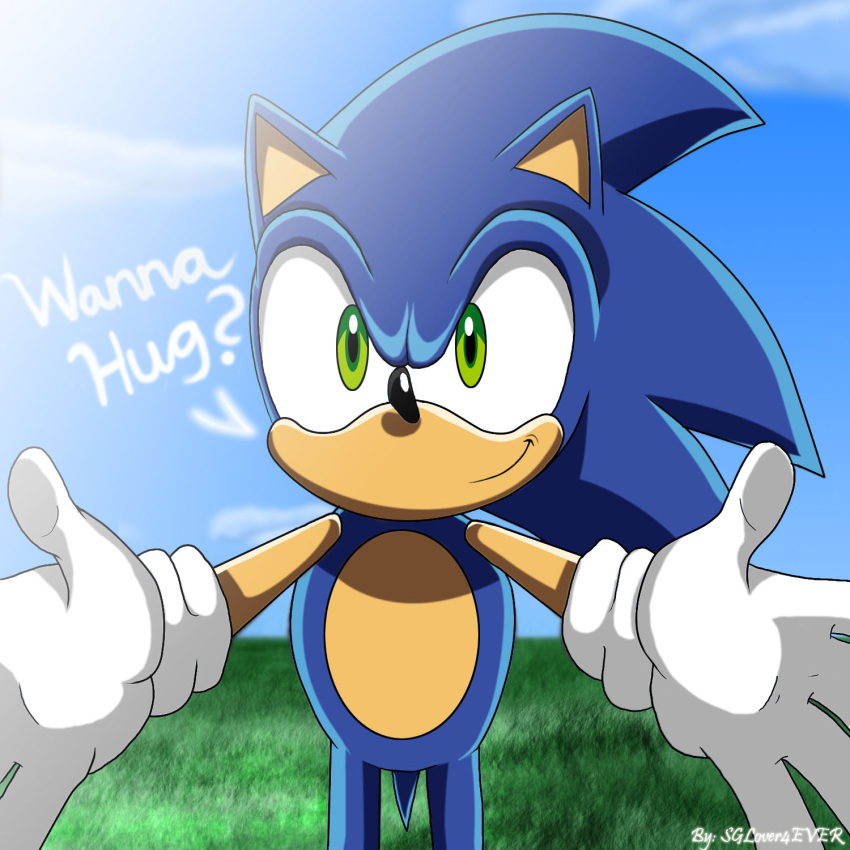 1:1 2010 5_fingers anthro asking asking_viewer blue_body blue_fur blue_sky clothing conjoined_eyes countershade_fur countershading day depth_of_field dialogue english_text eulipotyphlan fingers fur glistening glistening_eyes gloves grass grass_field green_eyes handwear hedgehog hi_res hug_invitation inviting inviting_viewer light light_beam looking_at_viewer male mammal plant portrait question question_mark sega sglover4ever shaded shadow signature sky smile smiling_at_viewer solo sonic_the_hedgehog sonic_the_hedgehog_(series) sonic_x standing sunbeam sunlight talking_to_viewer tan_arms tan_body tan_countershading tan_fur tan_inner_ear text three-quarter_portrait white_clothing white_gloves white_handwear