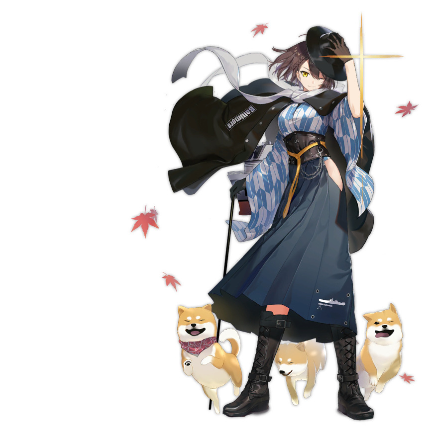 animal autumn_leaves azur_lane baltimore_(ace's_travel_journal)_(azur_lane) baltimore_(azur_lane) black_flower black_gloves black_headwear blue_skirt boots braid brown_hair canine cross-laced_footwear female flower gloves hakama hakama_skirt high-waist_skirt highres japanese_clothes keli_bang knee_boots leaf long_skirt maple_leaf medium_hair meiji_schoolgirl_uniform official_alternate_costume official_art outdoors scarf shiba_inu skirt solo transparent_background welsh_corgi white_scarf yagasuri yellow_eyes