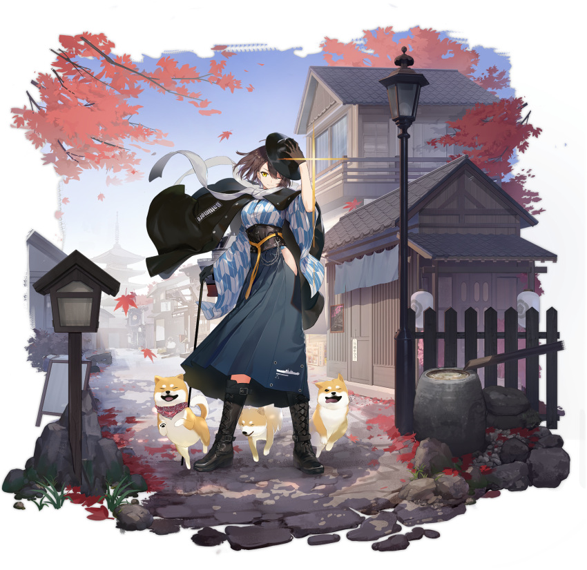 animal autumn_leaves azur_lane baltimore_(ace's_travel_journal)_(azur_lane) baltimore_(azur_lane) black_flower black_gloves black_headwear blue_skirt boots braid brown_hair canine cross-laced_footwear female flower gloves hakama hakama_skirt high-waist_skirt highres japanese_clothes keli_bang knee_boots leaf long_skirt maple_leaf medium_hair meiji_schoolgirl_uniform official_alternate_costume official_art outdoors scarf shiba_inu skirt solo transparent_background welsh_corgi white_scarf yagasuri yellow_eyes