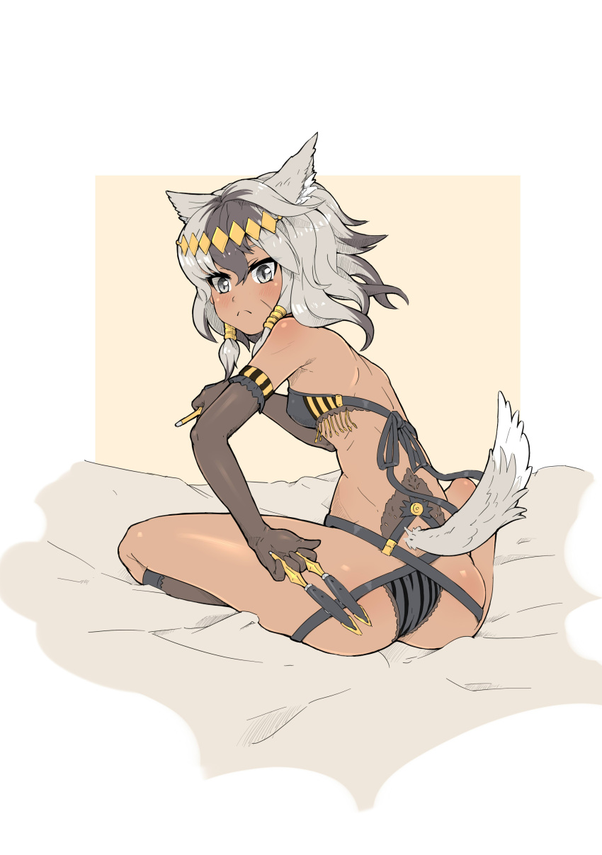 absurdres animal_ears animal_print ass back bikini bikini_top_only breasts brown_gloves brown_hair brown_socks dark-skinned_female dark_skin diadem elbow_gloves female fringe_trim from_behind gloves grey_eyes grey_hair grey_panties hair_tubes highres holding holding_knife jackal_(warship_girls_r) jackal_ears jackal_tail kneehighs knife knife_sheath kunai lace_trim looking_at_viewer looking_back lying medium_hair messy_hair multicolored_hair on_back panties scar scar_on_face sheath sidelocks sirills skindentation small_breasts socks solo strap swimsuit two-tone_hair underwear warship_girls_r weapon white_background zebra_print