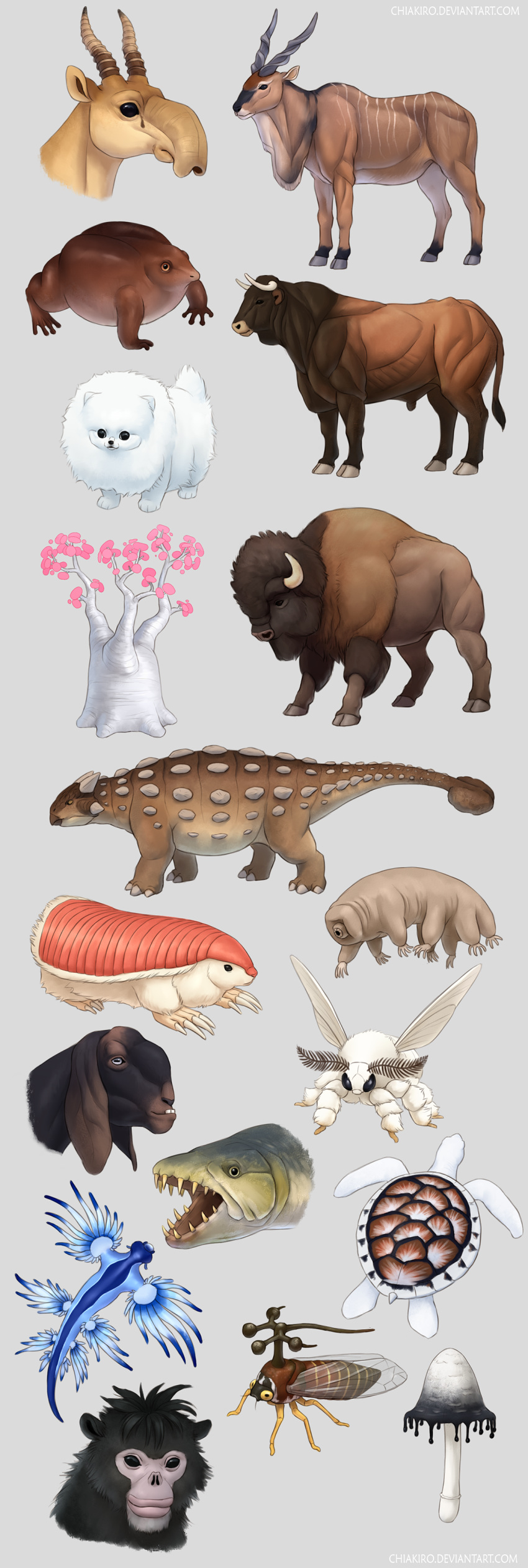 2019 2_horns absurd_res aeolid_nudibranch african_tetra albino alestid ambiguous_gender amphibian ankylosaurian ankylosaurid ankylosaurus antelope aquatic_gastropod armadillo arthropod bison black_body black_fur black_skin blue_cerata blue_dragon_slug blue_tail bombycid bovid bovine brazilian_treehopper brown_body brown_fur brown_skin canid canine canis caprine cerata_(anatomy) characiform cheloniid chiakiro curved_horn dark_body dark_skin dewlap_(anatomy) digital_drawing_(artwork) digital_media_(artwork) dinosaur domestic_dog domestic_goat domestic_silk_moth eland extinct feral fish fluffy frog fungus fur gastropod giant_eland goat goliath_tigerfish green_sea_turtle grey_background grey_hooves grey_horn group haplorhine head_horn headshot_portrait hi_res hooves horn inky_cap insects kamori_goat lepidopteran light_body light_ears light_face light_fur light_horn light_tail long_horn long_tail mammal marine membracid mollusk monkey monotone_body monotone_face monotone_fur monotone_horn monotone_tail moth multicolored_body multicolored_skin mushroom myanmar_snub-nosed_monkey nudibranch old_world_monkey ornithischian pink_fairy_armadillo portrait prehistoric_species primate purple_frog quadruped reptile saiga_antelope scalie sea_slug sea_turtle shaded short_fur short_tail simple_background slug small_tail snub-nosed_monkey species_request spiral-horned_antelope spiral_horn standing striped_body striped_fur stripes tactopod tail tan_body tan_skin tardigrade thyreophoran tigerfish toy_dog treehopper true_antelope turtle white_body white_ears white_face white_fur white_horn white_tail xenarthran