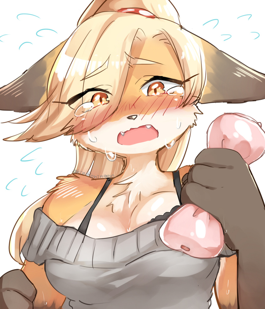 anthro blonde_hair blush bodily_fluids bra breasts canid canine clothed clothing countershading crying dipstick_ears ear_markings fangs female flying_sweatdrops fox fox's_sister_(kinokoningen) hair hair_over_eye hi_res kemono kinokoningen mammal multicolored_ears one_eye_obstructed open_mouth orange_eyes penetrable_sex_toy sex_toy solo sweat sweatdrop sweater tears teeth topwear translated_description translucent translucent_hair underwear