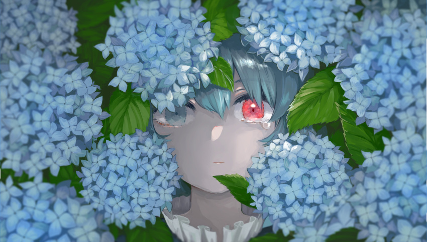 absurdres blue_eyes blue_flower blue_hair blurry closed_mouth commentary depth_of_field female flower heterochromia highres hydrangea ichinose_(kurui96) leaf looking_at_viewer plant portrait red_eyes short_hair solo tatara_kogasa tears touhou