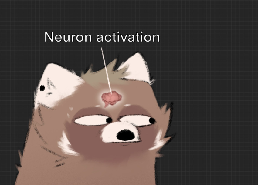 2023 ailurid anthro black_background brain english_text fur geometric_background grid_background hi_res humor male mammal meme minedoo minedoo_(character) neuron_activation organs pattern_background reaction_image red_panda simple_background solo stare text tuft