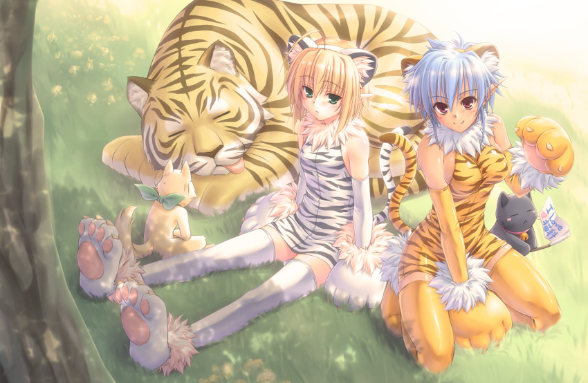 2girls animal_ears animal_hands animal_print bad_id bad_pixiv_id blonde_hair blue_hair detached_sleeves elbow_gloves feline flat_chest gloves green_eyes hairband highres huey_ranfaruto kuroneko_sakon multiple_girls oerba_yun_fang orange_thighhighs original paw_shoes pointy_ears raisen_(studio_tiara) red_eyes shoes sitting tail thighhighs tiger tiger_ears tiger_print tiger_tail white_thighhighs zettai_ryouiki