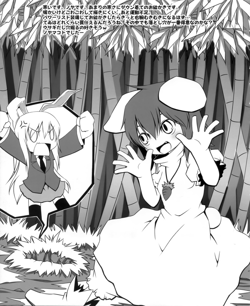 inaba_tewi monochrome noya reisen_udongein_inaba touhou