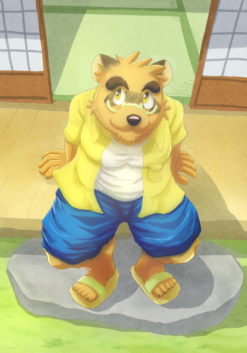 2024 anthro bottomwear canid canine clothing detailed_background eyewear footwear glasses hi_res kemono kounosuke_(morenatsu) male mammal morenatsu raccoon_dog sandals shirt shoes shorts sitting smile solo tanuki topwear wo