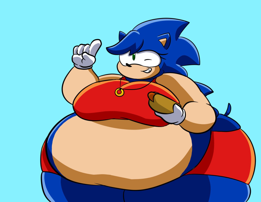 anthro belly big_belly big_breasts breasts chilli_dog female finger_wag flabby_arms hi_res huge_belly hyper hyper_belly jewelry komakomaranger looking_at_viewer necklace obese obese_female one_eye_closed overweight overweight_female ring rule_63 sega solo sonic_the_hedgehog sonic_the_hedgehog_(series) thick_thighs wide_hips wink winking_at_viewer