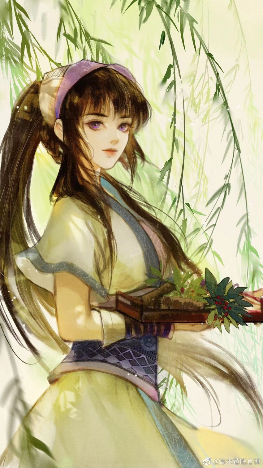 armband artist_request brown_hair chinese_clothes closed_mouth duanmu_rong_(qinshi_mingyue) female from_side hairband herb highres leaf long_hair looking_at_viewer plate ponytail purple_eyes qinshi_mingyue second-party_source short_sleeves sidelocks solo upper_body willow