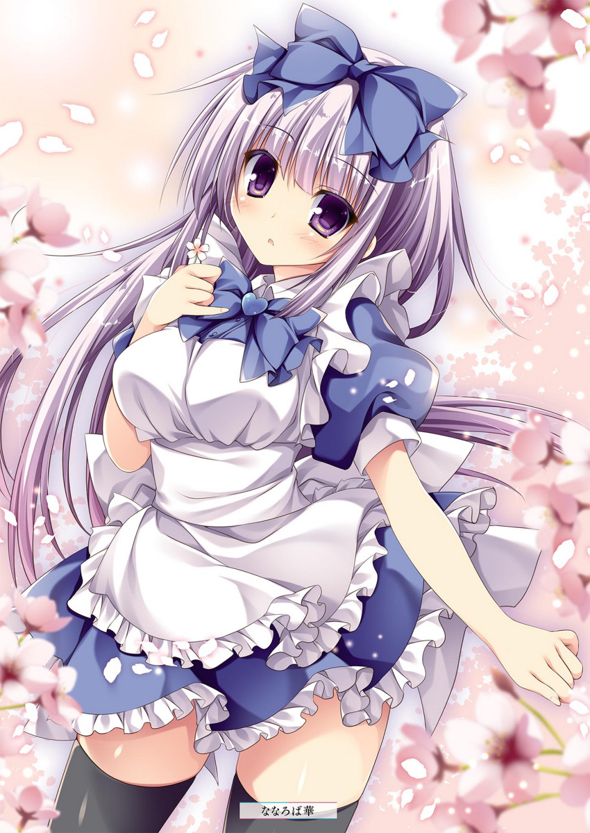 airi_(alice_or_alice) alice_or_alice apron artist_name black_thighhighs blue_bow blue_neckwear blue_shirt blue_skirt blush bow contrapposto cowboy_shot female floating_hair flower frilled_skirt frills hairbow head_tilt highres long_hair miniskirt nanaroba_hana petals pink_flower purple_eyes shiny_clothes shiny_skin shirt short_sleeves silver_hair skirt solo standing thighhighs very_long_hair white_apron zettai_ryouiki