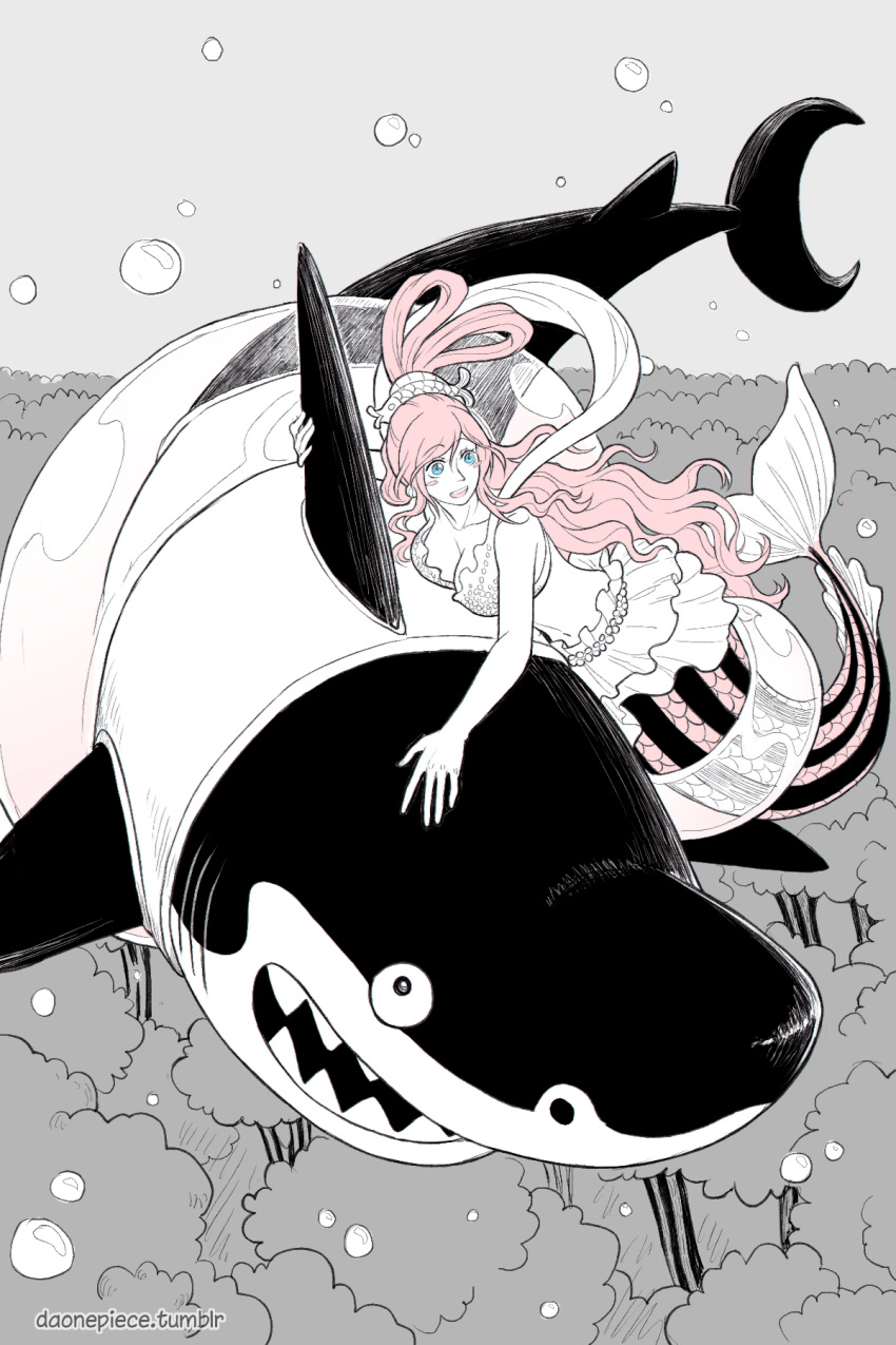 blue_eyes blush_stickers bubble daonepiece english_commentary female fish_hair_ornament hagoromo hair_ornament half_updo highres limited_palette long_hair looking_to_the_side megalo mermaid monster_girl one_piece pink_hair shark sharp_teeth shawl shirahoshi swept_bangs teeth tumblr_username underwater very_long_hair