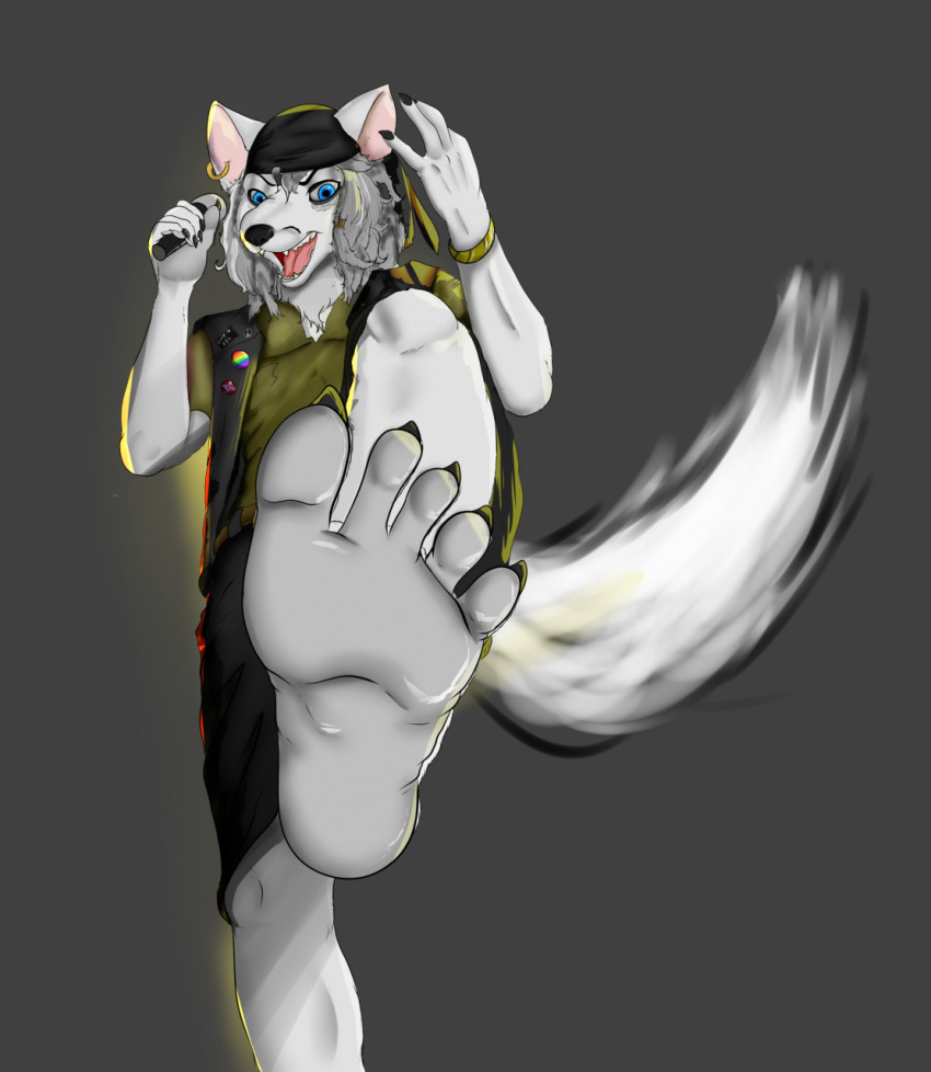 anthro arctic_fox axel canid canine claws concept_art feet foot_fetish foot_focus fox hi_res male mammal model_sheet paws robinthefox rockband singer soles solo toes true_fox