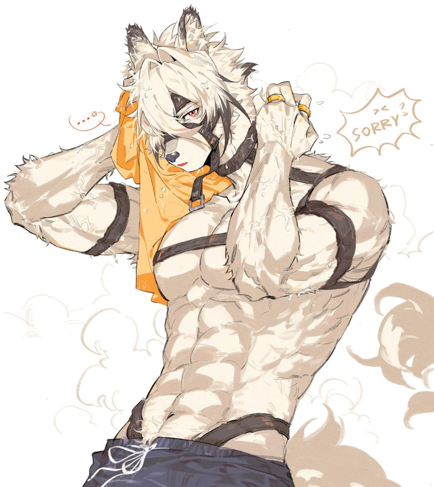 ... 1boy abs anger_vein animal_ear_fluff animal_ears arm_strap biceps black_choker black_hair body_fur chest_harness choker commentary english_text eyepatch furry furry_male hair_between_eyes hair_intakes hands_up harness haru41113 highres holding holding_towel looking_at_viewer male_focus multicolored_hair muzzle navel oerba_yun_fang one_eye_covered open_mouth pectorals red_eyes short_hair simple_background solo speech_bubble spoken_anger_vein spoken_ellipsis stomach streaked_hair symbol-only_commentary tail topless_male towel veins von_lycaon wet wet_hair white_background white_fur white_hair wolf_boy wolf_ears wolf_tail zenless_zone_zero