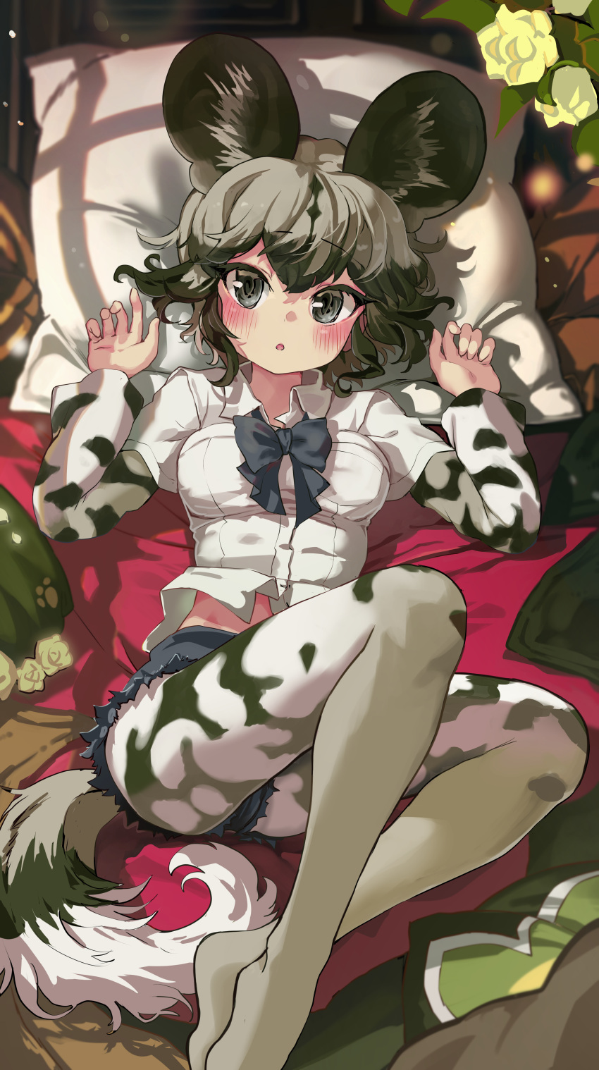 absurdres african_wild_dog_(kemono_friends) african_wild_dog_print animal_ears black_hair blush bow bowtie breasts dog_ears dog_tail female gloves highres kemono_friends long_sleeves looking_at_viewer lying medium_breasts melaton multicolored_hair on_back on_bed open_mouth shirt short_hair short_sleeves shorts solo tail