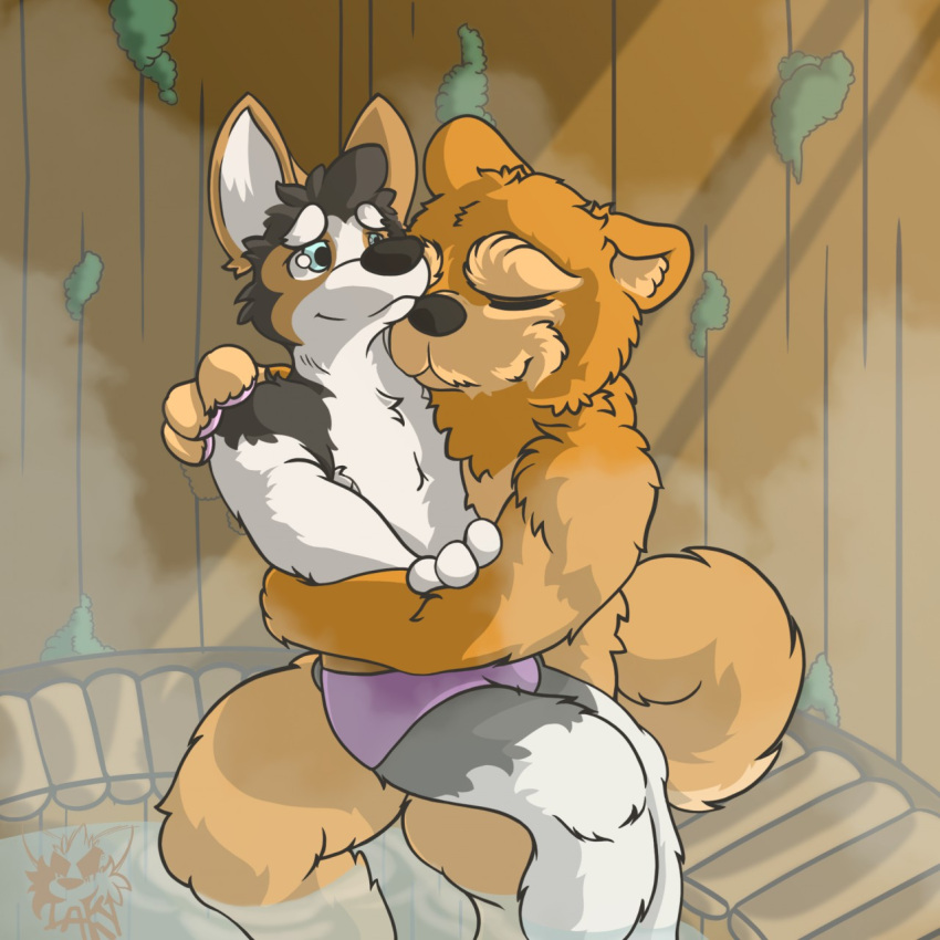 1:1 anthro bikini_thong black_body black_fur black_nose blue_eyes canid canine canis chow_chow closed_eyes clothing curled_tail domestic_dog duo fur gab_(comic) herding_dog hi_res hot_tub hug inside korg_(gabshiba) male male/male mammal on_lap orange_body orange_fur pastoral_dog romantic romantic_couple sauna sitting sitting_on_lap spitz steam swimwear tail takyru-hiru wang_chow welsh_corgi white_body white_fur