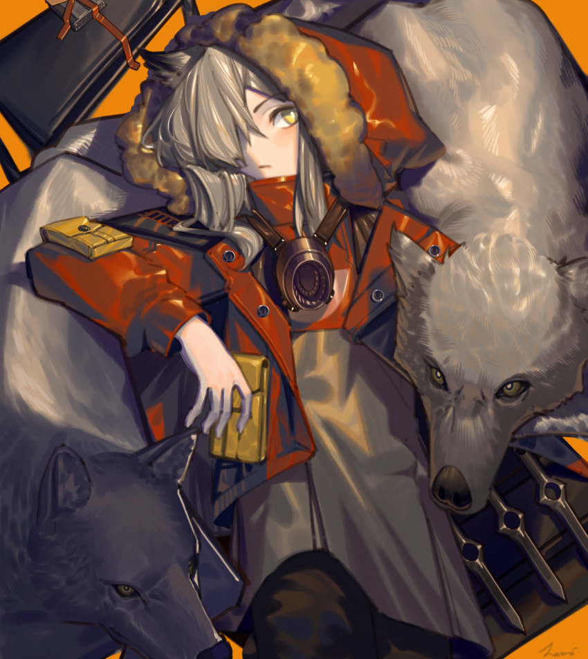 animal_ears arknights blush coat_stash commentary female fur-trimmed_hood fur_trim hair_over_one_eye highres hood hood_up hooded_jacket jacket lanzi_(415460661) long_sleeves mask mask_around_neck orange_background projekt_red_(arknights) red_jacket signature simple_background solo wolf wolf_ears wolf_girl yellow_eyes