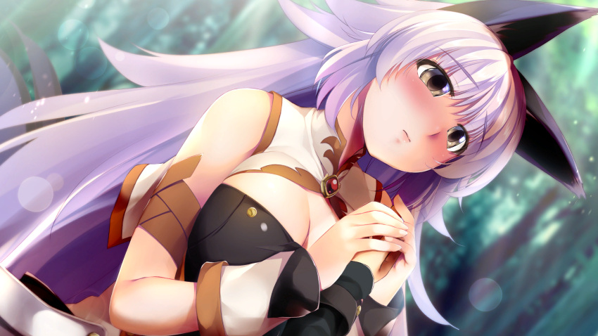 1boy animal_ears atelier-moo bare_shoulders blush breasts cleavage closed_mouth detached_sleeves female forest full-face_blush grey_eyes hair_between_eyes highres holding_hands interlocked_fingers large_breasts lips long_hair mana_(our_battle_has_just_begun!) nature nose_blush our_battle_has_just_begun! purple_hair tail torogao upper_body wolf_girl wolf_tail