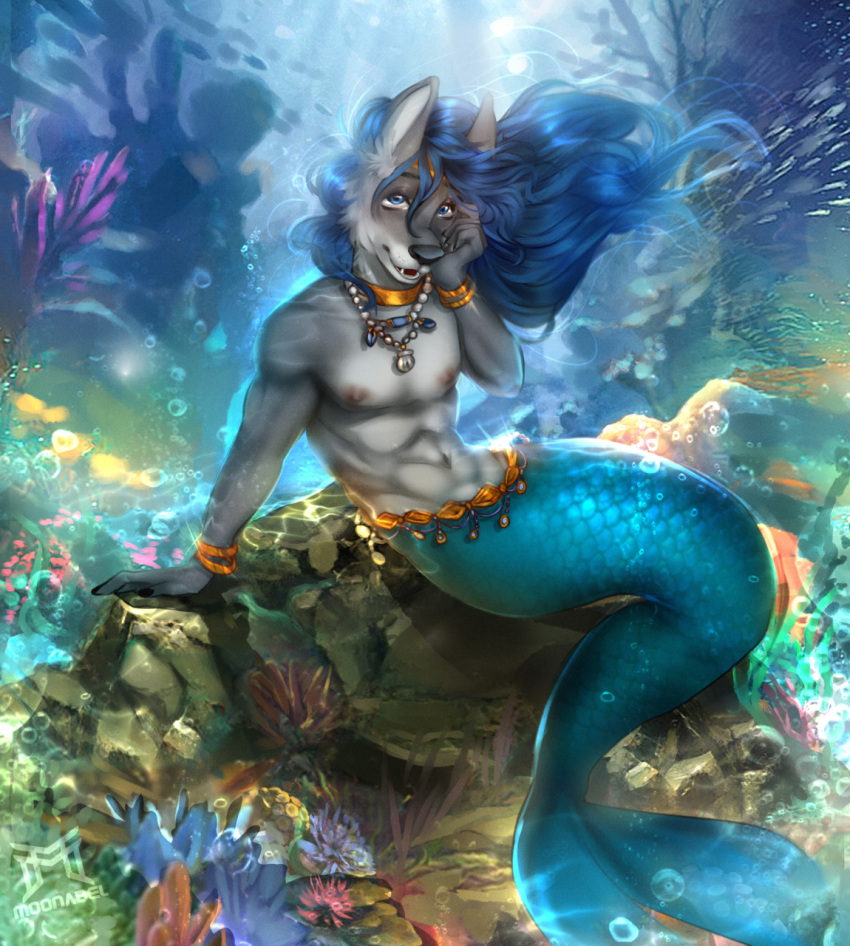 2021 5_fingers anthozoan anthro arm_support athletic athletic_anthro athletic_male bare_chest black_nose blue_eyes blue_hair bracelet canid canine canis cnidarian coral countershade_face countershade_torso countershading digital_media_(artwork) fangs fingers fur grey_body grey_fur hair hand_on_face hi_res humanoid_hands inner_ear_fluff jewelry long_hair looking_at_viewer maku_(masterofwolves99) male mammal marine masterofwolves99 merfolk moonabel multicolored_body multicolored_fur navel necklace nipples on_rock open_mouth pecs pinup pose rock signature sitting sitting_on_rock solo split_form teeth tuft two_tone_body two_tone_fur underwater water white_body white_countershading white_fur wolf