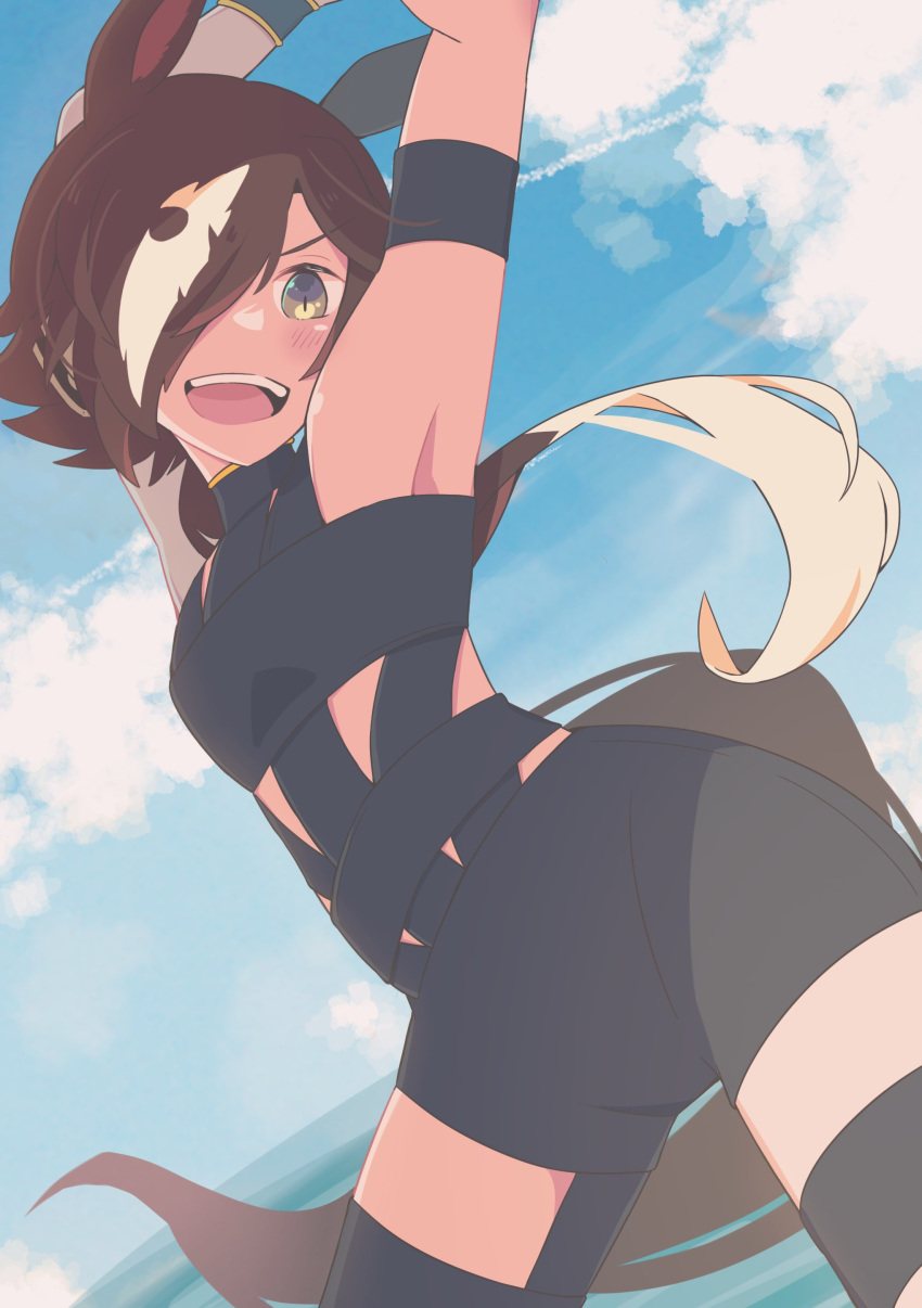 :d absurdres animal_ears armpits arms_up bare_shoulders blue_sky blush brown_eyes brown_hair cloud commentary_request cosplay day female hair_over_one_eye highres horizon horse_ears horse_girl horse_tail hot_limit idolmaster idolmaster_cinderella_girls long_hair maru_(hachi_47923) multicolored_hair nishikawa_takanori nishikawa_takanori_(cosplay) ocean oohashi_ayaka outdoors shimamura_uzuki sky smile solo standing streaked_hair t.m.revolution tail two-tone_hair umamusume v-shaped_eyebrows very_long_hair vodka_(umamusume) voice_actor_connection water white_hair