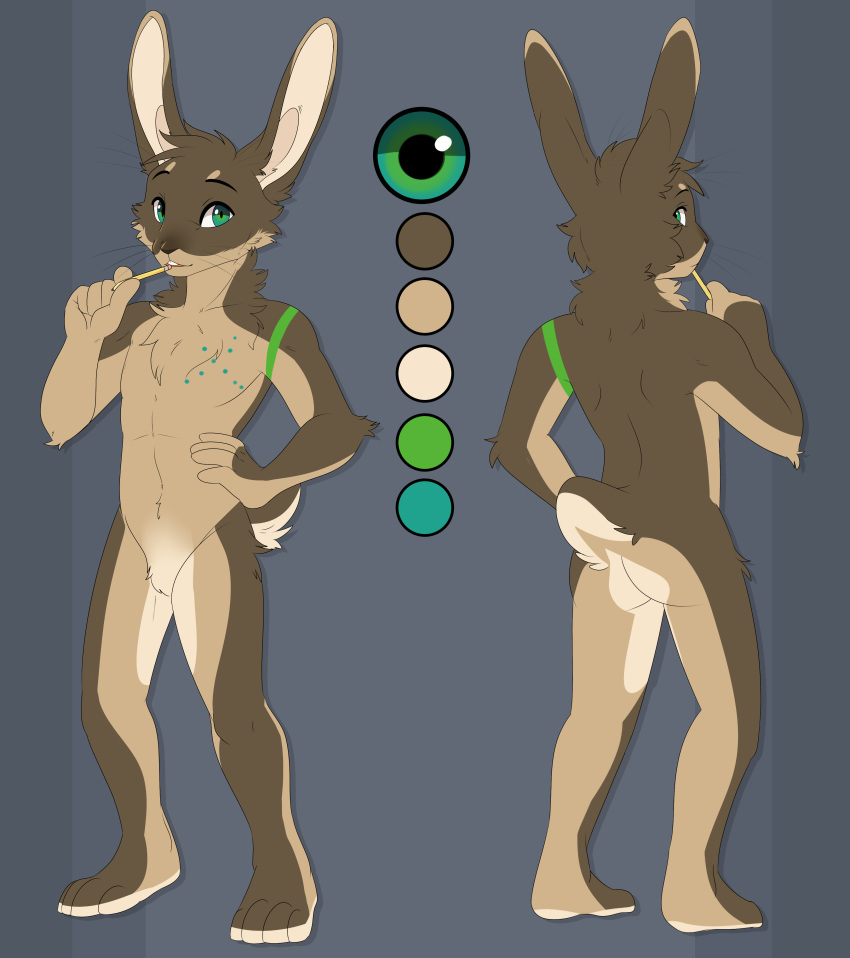 absurd_res anthro big_ears brown_body brown_fur featureless_crotch feve front_view fur hi_res holding_object holding_pencil holding_writing_utensil lagomorph leporid male mammal model_sheet multicolored_body multicolored_ears multicolored_fur natural_colors neck_tuft pencil_(object) rabbit rear_view russec_(character) solo standing tan_body tan_fur tuft writing_utensil