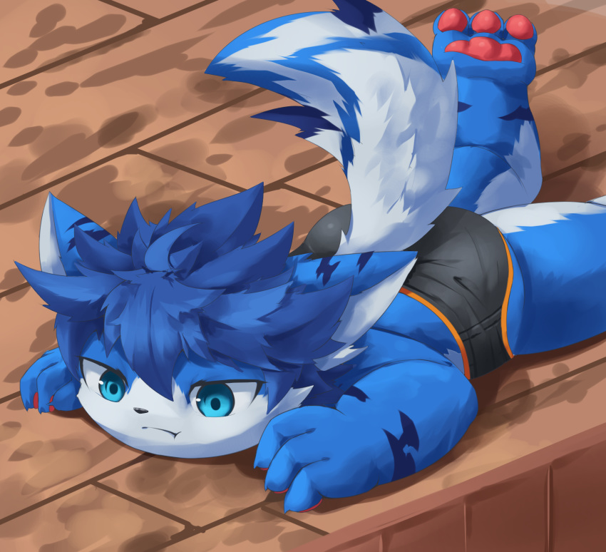 2017 3_fingers 3_toes anthro blue_eyes blue_hair canid canine clothed clothing digital_media_(artwork) feet fingers hair hi_res lying male mammal on_front pawpads pouting rann solo toes topless underwear young young_anthro