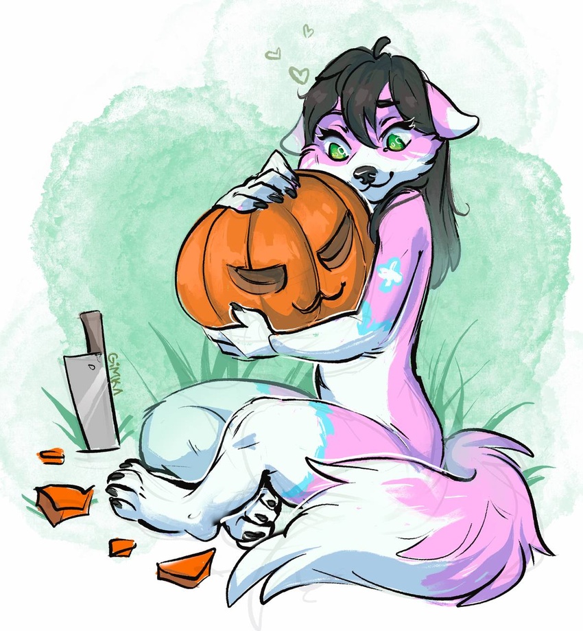 anthro biped black_hair black_nose canid canine food fox fruit fur gimka grass green_eyes hair hi_res inner_ear_fluff jack-o'-lantern knife mammal norii pink_body pink_fur plant pumpkin sitting sitting_on_ground tuft