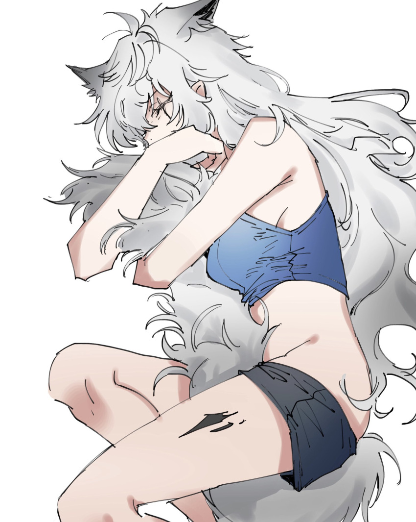 animal_ears arknights black_shorts blue_shirt closed_eyes clothes_pull commentary_request crop_top extra_ears feet_out_of_frame female grey_hair grey_tail groin highres hugging_own_tail hugging_tail lappland_(arknights) long_hair lying material_growth messy_hair midriff na_tarapisu153 on_side oripathy_lesion_(arknights) scar scar_across_eye shirt shorts shorts_pull simple_background sleeping solo tail white_background wolf_ears wolf_girl wolf_tail