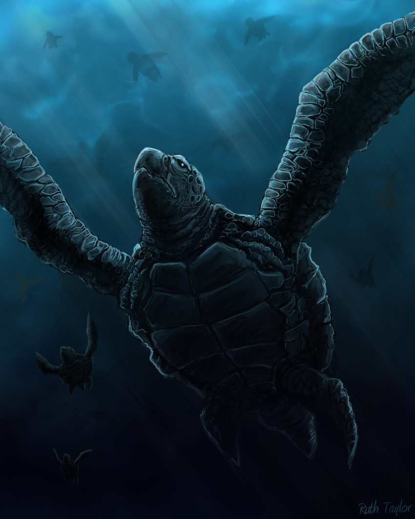 2008 4:5 ambiguous_gender black_and_blue black_eyes blue_theme cool_colors group hi_res monochrome reptile ruth-tay scalie turtle underwater water