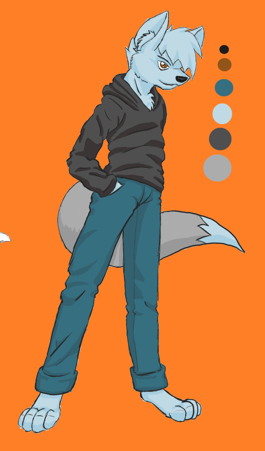 absurd_res anthro biped bottomwear brown_eyes canid canine clothed clothing denim denim_bottomwear denim_clothing fox frozen_over hi_res hoodie jeans male mammal model_sheet pants paws simple_background solo standing topwear