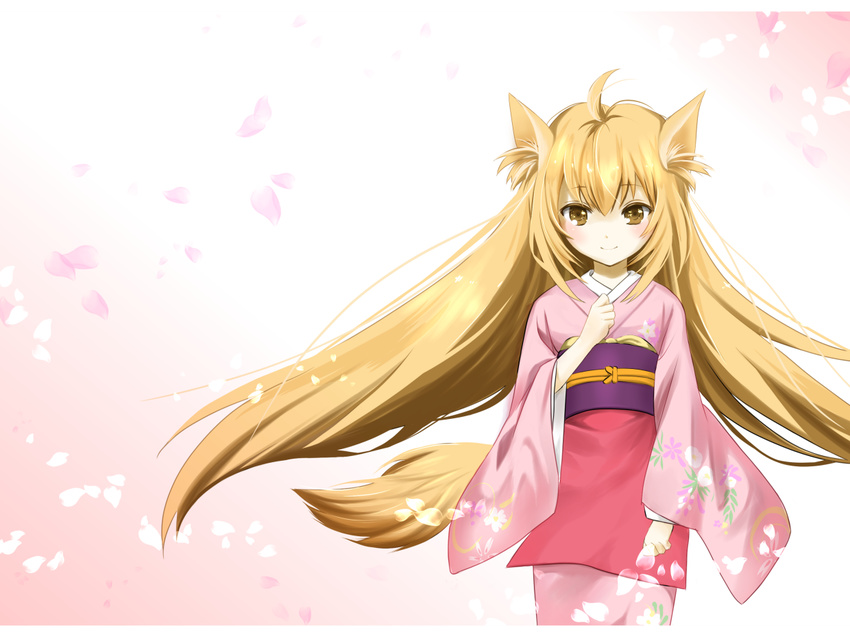 ahoge animal_ears blonde_hair blush brown_eyes cherry_blossoms clenched_hands closed_mouth commentary_request female floral_print fox_ears fox_tail hair_between_eyes japanese_clothes kimono konohana_kitan letterboxed long_hair looking_at_viewer obi sash smile standing tail very_long_hair yuki_jirou yuzu_(konohana_kitan)