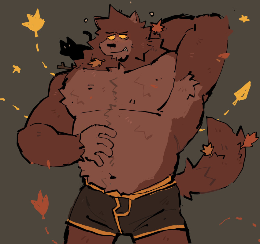 anthro armpit_tuft autumn autumn_leaves boxers_(clothing) boxers_only brown_body brown_fur canid canine canis clothed clothing domestic_cat falling_leaves felid feline felis fur hi_res leaf leaves_in_hair male mammal muscular muscular_male mythological_canine mythological_creature mythology red_body red_fur scruffy soildweller solo topless underwear underwear_only were werecanid werecanine werewolf wolf