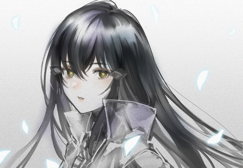 asawa_(dm_owr) bad_id bad_twitter_id black_hair expressionless falling_petals female from_side girls'_frontline glowing glowing_petals hair_between_eyes hair_ornament highres isomer_hivemind_(girls'_frontline) jacket long_hair looking_at_viewer looking_to_the_side nyto_(girls'_frontline) paradeus parted_lips petals portrait see-through solo yellow_eyes