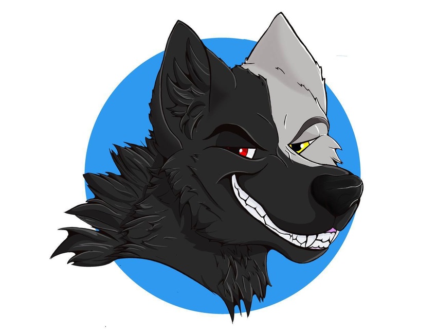 anthro azki_(azki_wolf) black_body black_fur canid canine canis dante_mutt_(artist) fur heterochromia male mammal smile smiling_at_viewer smirk smirking_at_viewer solo white_body white_fur wolf