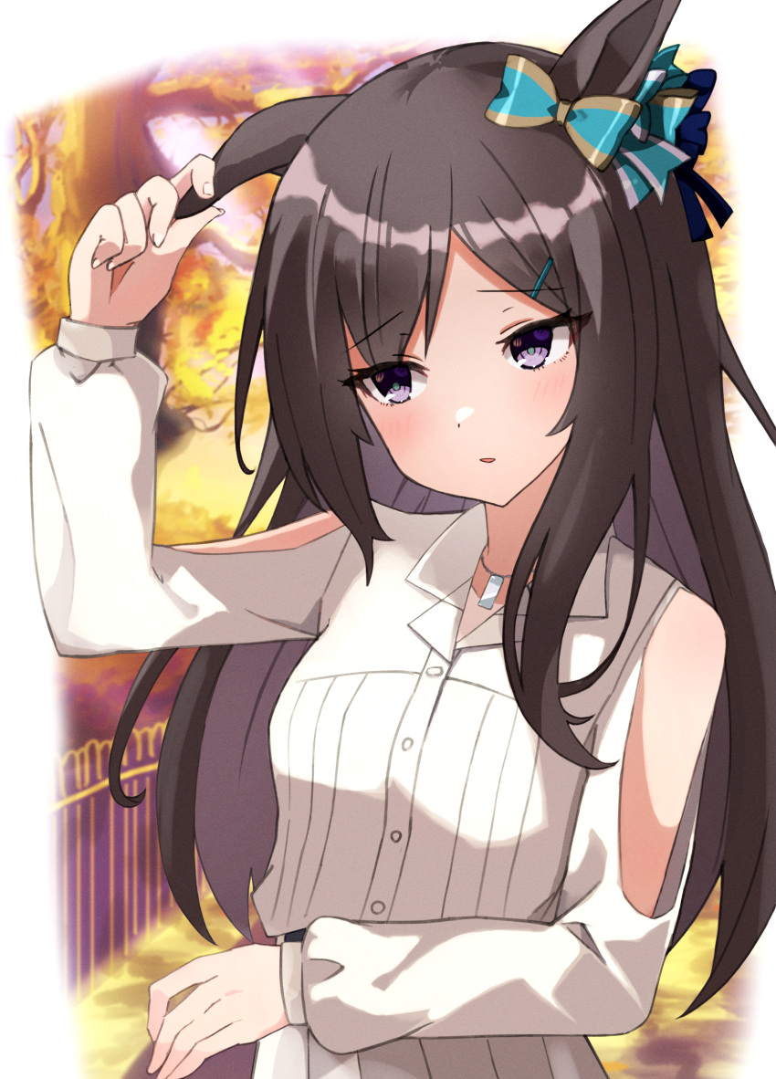 absurdres animal_ears black_hair blush breasts casual commentary_request female hair_ornament hairclip highres horse_ears horse_girl jewelry looking_at_viewer looking_away medium_breasts mejiro_dober_(umamusume) musicccc necklace purple_eyes ribbon solo umamusume