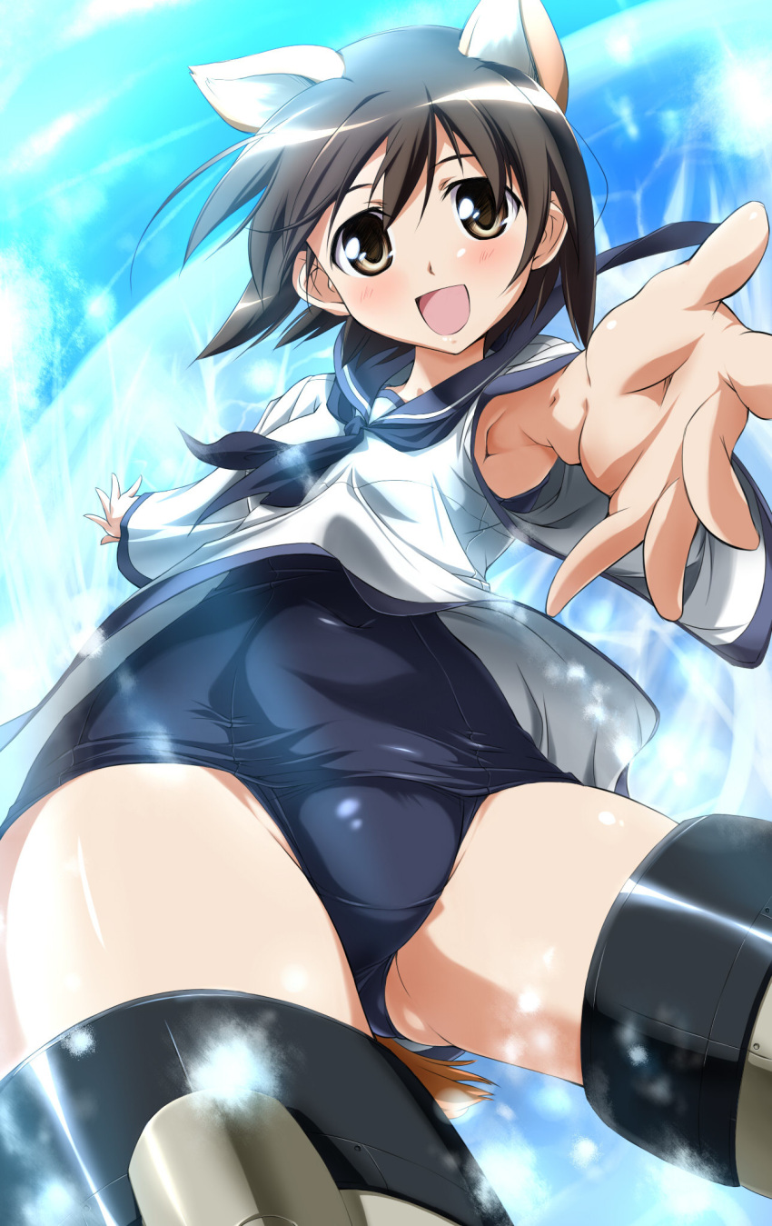 animal_ears armpits brown_eyes brown_hair commentary_request dog_ears dog_girl dog_tail female highres miyafuji_yoshika no_pants nomal one-piece_swimsuit open_mouth outstretched_arm outstretched_hand reaching school_swimsuit school_uniform short_hair solo strike_witches striker_unit swimsuit swimsuit_under_clothes tail world_witches_series