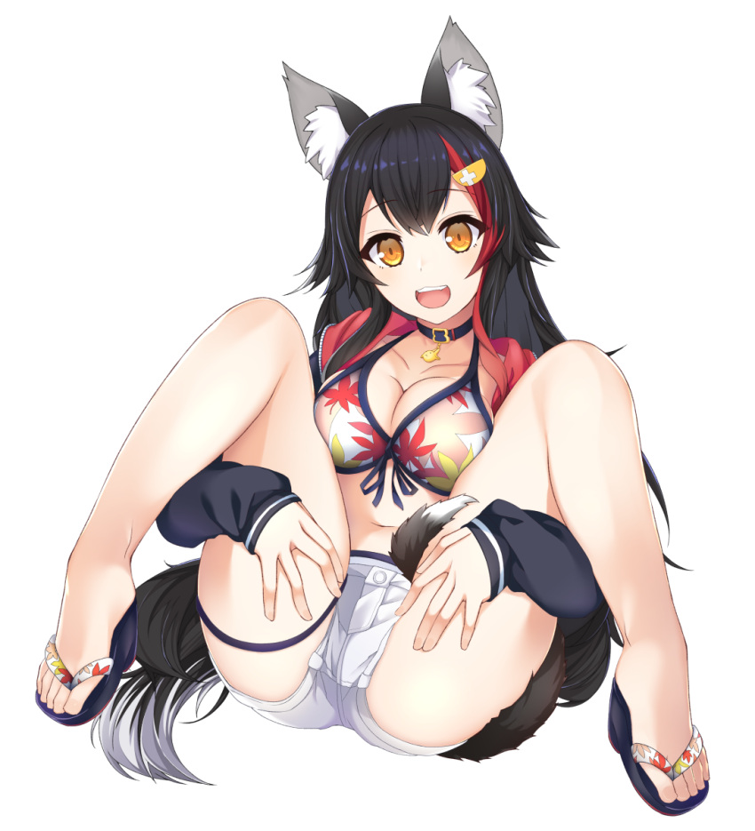 animal_ear_fluff animal_ears bad_id bad_pixiv_id bikini bikini_under_clothes black_collar black_hair breasts choker cleavage collar collarbone commentary_request female front-tie_bikini_top front-tie_top full_body hair_between_eyes highres hololive jacket large_breasts long_hair looking_at_viewer m_legs multicolored_hair navel no_shirt ookami_mio ookami_mio_(hololive_summer_2019) open_clothes open_jacket open_mouth otaku_heishi red_hair short_shorts shorts solo spread_legs stomach swimsuit tail tail_around_own_leg tail_wrap very_long_hair virtual_youtuber white_hair white_shorts wolf_ears wolf_girl wolf_tail yellow_eyes