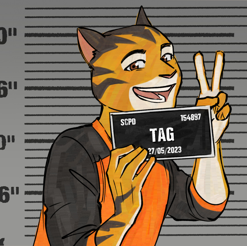 anthro barbie_and_ken_mugshot_meme felid finateh happy hi_res male mammal mugshot pantherine rimba_racer tag_(rimba_racer) tiger