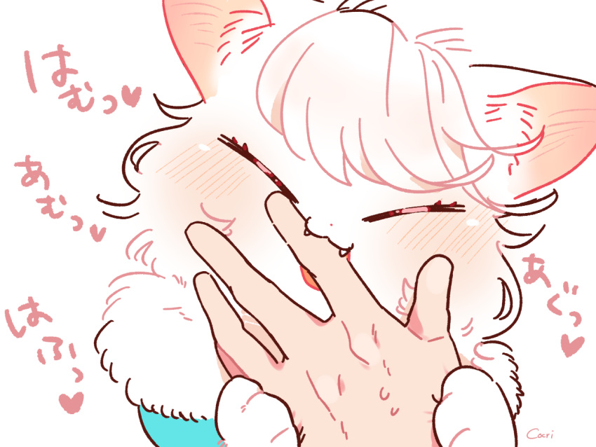 5_fingers ambiguous_gender anthro bangs bite blush bodily_fluids cheek_tuft closed_eyes clothing cocri cute_fangs domestic_cat duo eyelashes facial_tuft felid feline felis female female/ambiguous female_anthro finger_bite finger_in_mouth fingers fur hair hand_holding heart_symbol humanoid inner_ear_fluff japanese_text kemono mammal nom open_mouth pink_nose princess_koyuki_(cocri) short_hair signature simple_background sweat sweatdrop teeth text tuft wavy_hair white_background white_body white_fur white_hair white_skin