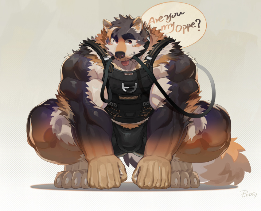 abs absurd_res anthro biceps bogexboog canid canine canis clothing collar crouching domestic_dog english_text fur hi_res leash lifewonders live_a_hero male mammal multicolored_body multicolored_fur muscular muscular_anthro muscular_male pecs shirt smile solo sterio tank_top text topwear