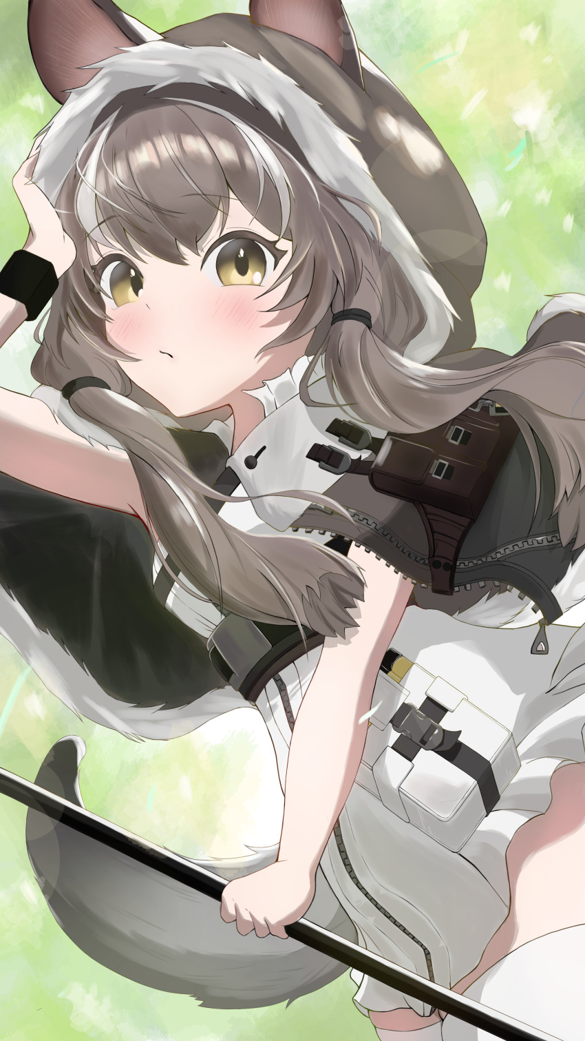 absurdres animal_ears arknights arm_up black_wristband blush brown_hair brown_hood closed_mouth commentary_request dress female frilled_dress frills fur-trimmed_hood fur_trim green_background grey_hair grey_tail hair_tie highres holding honeyberry_(arknights) hood hood_up ku_(ku75175918) long_hair looking_at_viewer multicolored_hair partial_commentary short_dress solo streaked_hair tail thighhighs white_dress white_thighhighs yellow_eyes zipper