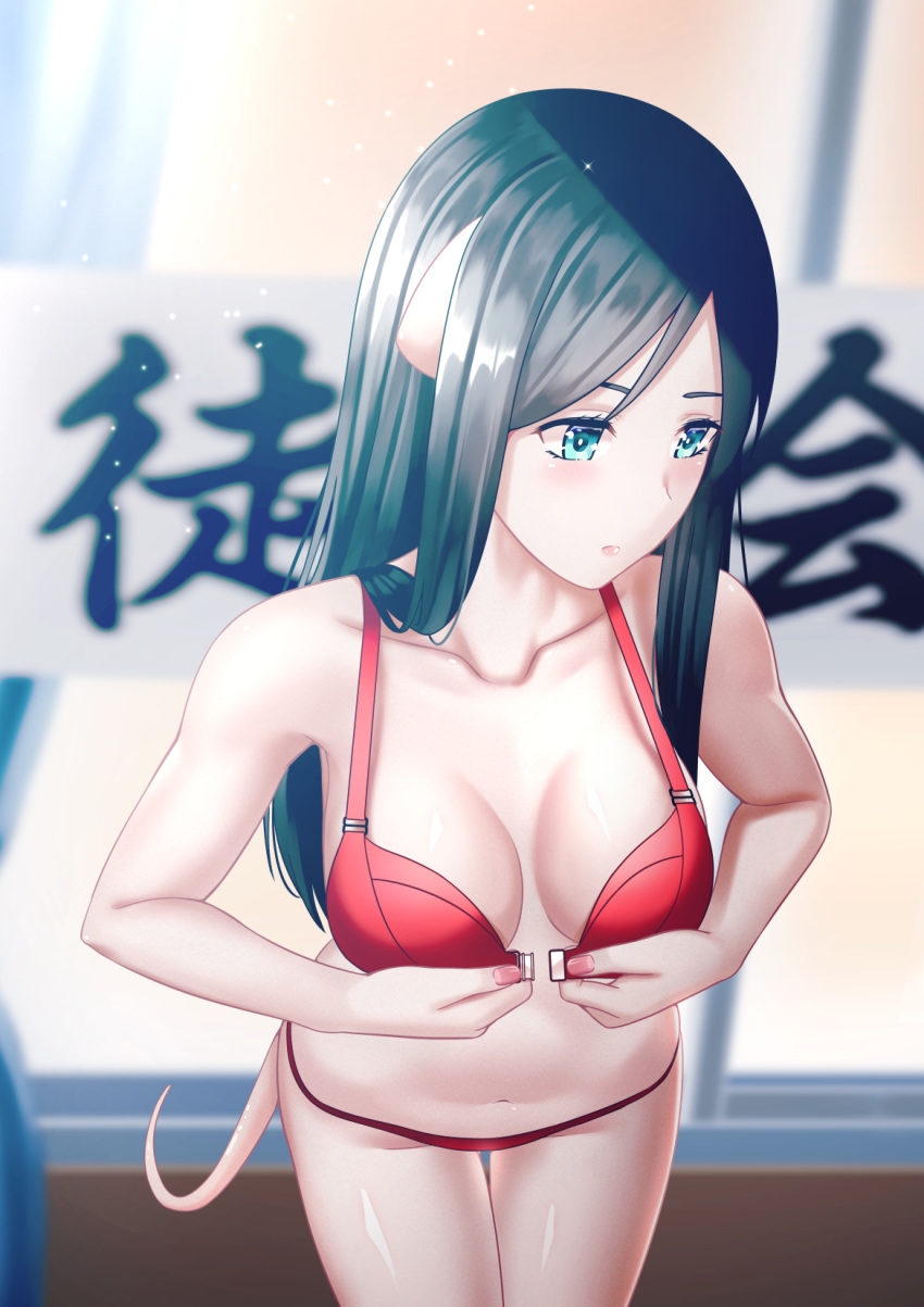 animal_ears aqua_eyes banner black_hair blurry blurry_background bra breasts cleavage collarbone commentary curtains female from_above front-hook_bra hadano_miki highres kangbus light_blush lips lipstick long_hair looking_away makeup murenase!_shiiton_gakuen nail_polish naked_mole_rat panties parted_hair pink_lips pink_nails red_bra red_panties solo sparkle tail thigh_gap translated underwear undressing unfastened window