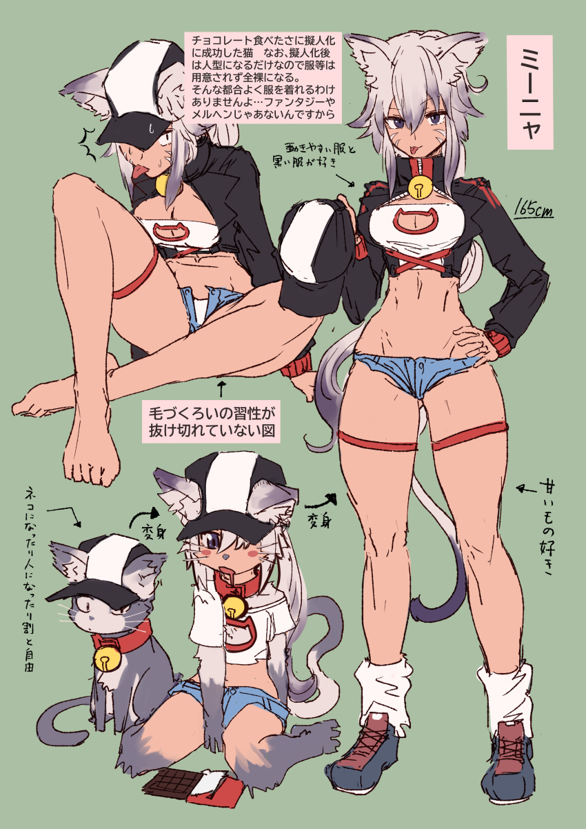 abs absurdres animal_ears bell black_headwear black_jacket blue_shorts breasts candy cat_ears cat_girl cat_tail chocolate chocolate_bar cleavage cleavage_cutout clothing_cutout cropped_jacket dark_skin feline female food full_body green_background grey_hair hair_between_eyes hat highres jacket jingle_bell legs long_hair long_sleeves looking_at_viewer loose_socks medium_breasts micro_shorts multiple_views nakasaku-p navel open_fly original ponytail purple_eyes shorts sidelocks simple_background smile socks tail tan thigh_strap thighs tongue tongue_out white_legwear zipper