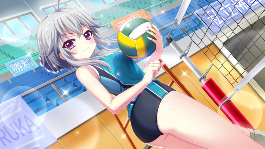 >:) ahoge ass ball bleachers blue_buruma blue_sky blush breasts buruma character_name clenched_hand closed_mouth day dot_nose dutch_angle female film_grain from_side game_cg grey_hair holding holding_ball ichijou_ruka izumi_tsubasu lens_flare looking_at_viewer medium_breasts non-web_source official_art purple_eyes railing re:stage! short_hair_with_long_locks sign sky smile solo sparkle sportswear sweat underbutt v-shaped_eyebrows volleyball volleyball_net volleyball_uniform