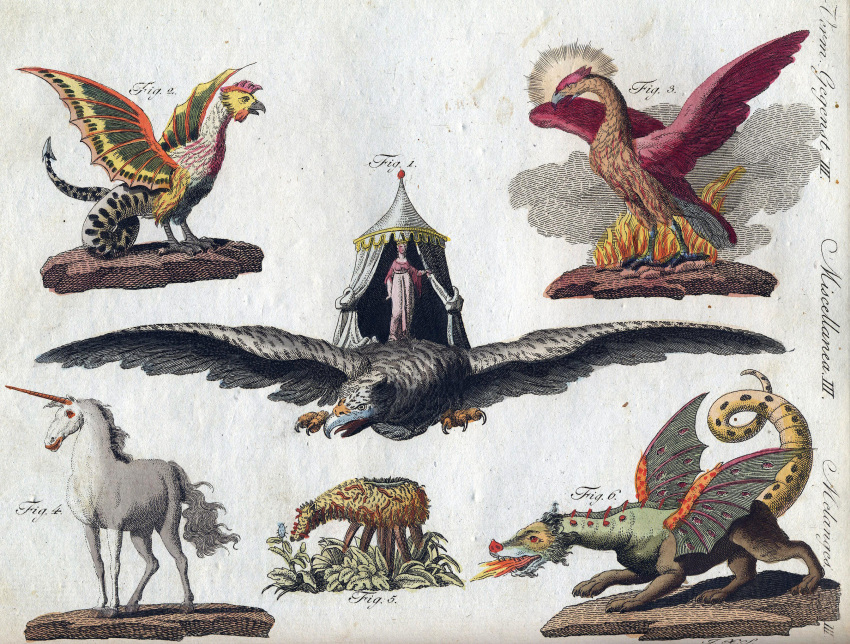 1801 19th_century 1_horn ambiguous_gender ancient_art avian beak bilderbuch_fur_kinder biped claws dragon elemental_creature equid equine european_mythology feathered_wings feathers feral fire flora_fauna friedrich_justin_bertuch greek_mythology hi_res hooves horn mammal membrane_(anatomy) membranous_wings middle_eastern_mythology mythological_avian mythological_basilisk mythological_bird mythological_creature mythological_equine mythological_firebird mythological_scalie mythology paws phoenix plant public_domain quadruped roc scalie tail traditional_media_(artwork) unicorn vegetable_lamb western_dragon wings