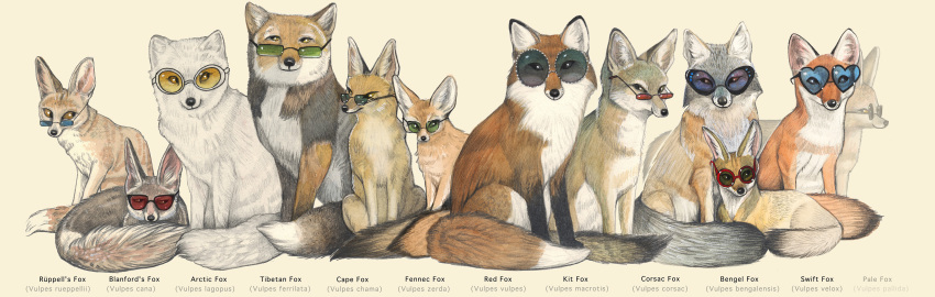 absurd_res ambiguous_gender arctic_fox bengal_fox black_body black_fur blanford's_fox canid canine cape_fox corsac_fox english_text eyewear eyewear_only fennec_fox feral fox fur grey_body grey_fur group hi_res kit_fox large_group lisa_fields mammal nude pale_fox red_body red_fox red_fur ruppell's_fox simple_background sunglasses sunglasses_on_face sunglasses_only swift_fox tagging_guidelines_illustrated tan_body tan_fur text tibetan_sand_fox true_fox white_background white_body white_fur