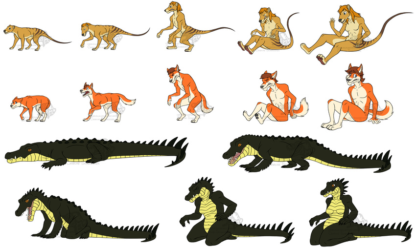 absurd_res anthro basic_sequence breasts canid canine canis carolzilla claws crocodile crocodilian crocodylid dasyuromorph dingo extinct featureless_breasts female feral feral_to_anthro five_frame_image five_frame_sequence fur group hair hi_res linear_sequence male mammal marsupial multi_frame_sequence non-mammal_breasts nude open_mouth recently_extinct_species reptile scales scalie sequence simple_background sitting standing thylacine tongue transformation transformation_sequence watermark white_background