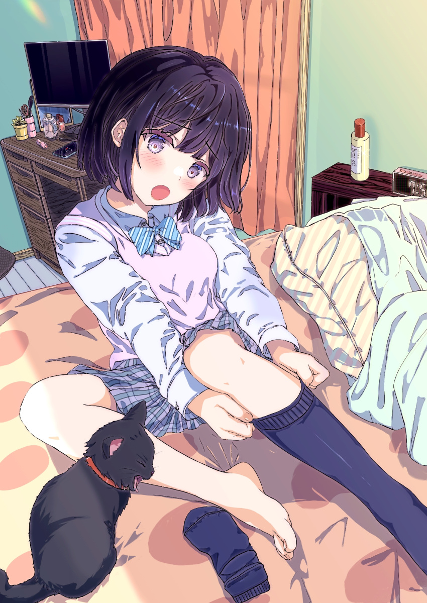 bed bed_sheet bedroom black_cat blue_bow blue_bowtie blue_skirt blue_socks blush bow bowtie cardigan cardigan_vest collared_shirt curtains desk dressing eyelashes feet feline female fushimi_asuha head_tilt highres indoors knee_up kneehighs legs long_sleeves medium_hair monitor no_shoes on_bed open_mouth original pillow pink_skirt pink_vest plaid_clothes plaid_skirt pleated_skirt purple_eyes purple_hair putting_on_legwear reclining school_uniform shadow shirt sidelocks single_barefoot single_kneehigh single_sock sitting skirt socks solo striped_bow striped_bowtie striped_clothes toenails toes unworn_socks vest white_shirt wooden_floor