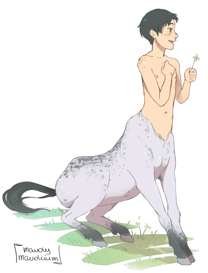 5_fingers alpha_channel attack_on_titan black_hair brown_eyes centaur equid equid_taur equine european_mythology fingers flower freckles fur grass greek_mythology grey_body grey_fur hair hi_res hooves humanoid_taur light_body light_skin male mammal mammal_taur marco_bott mavolcium mythology nipples nude pale plant simple_background sitting solo split_form spots taur transparent_background young